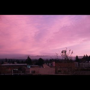 Meet your Posher, Josie